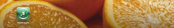 20120602-010958.jpg